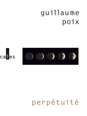 cover image of Perpétuité